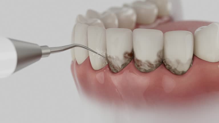 Reliable Dental contractor in Savage, MD by Dentist Open Now